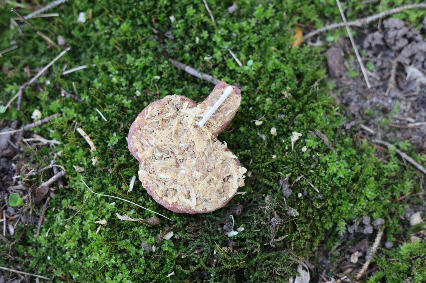 Fake Dog Poop Fire Starter