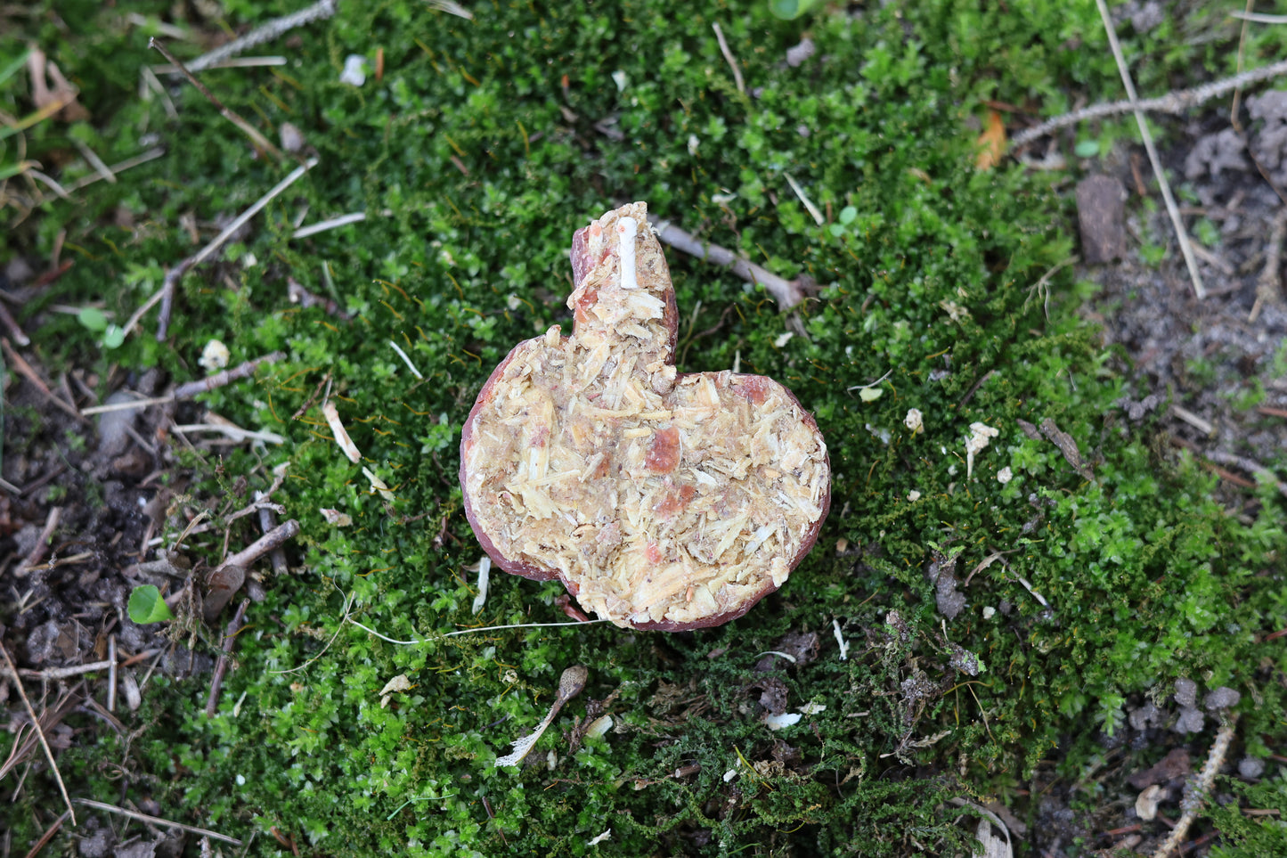 Fake Dog Poop Fire Starter
