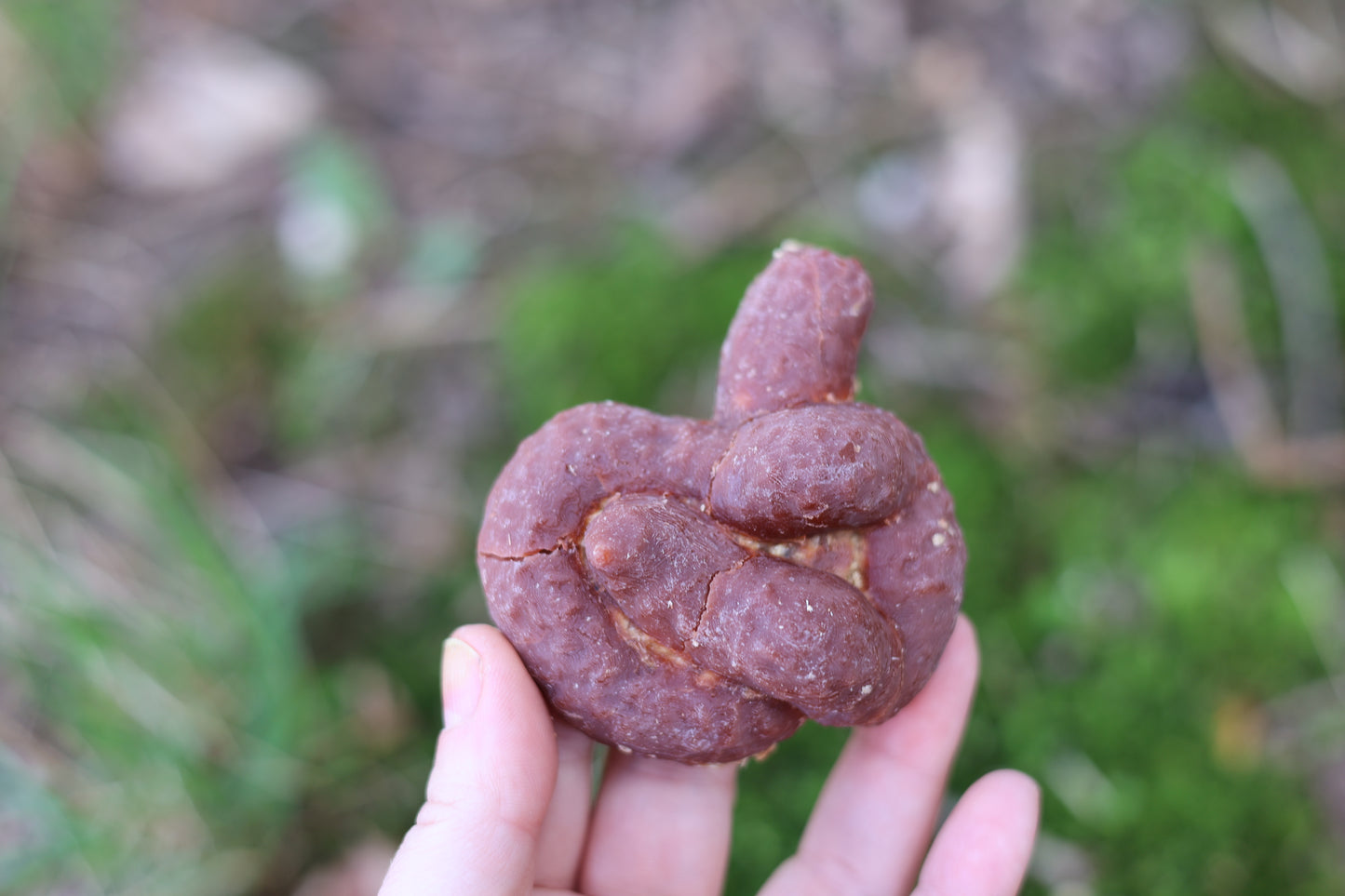 Fake Dog Poop Fire Starter