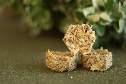 Hexagon Pine Fire Starters