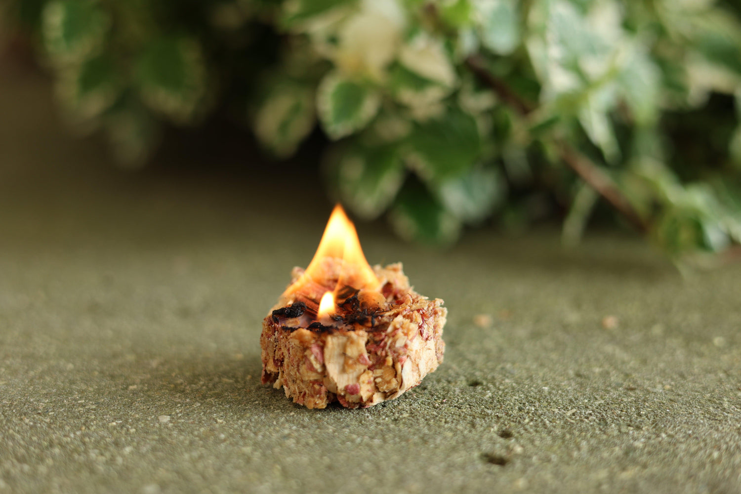 A set of eco-friendly hexagon cedar fire starters with beeswax, sawdust, and red cedar shavings, crafted to reduce waste and promote sustainability