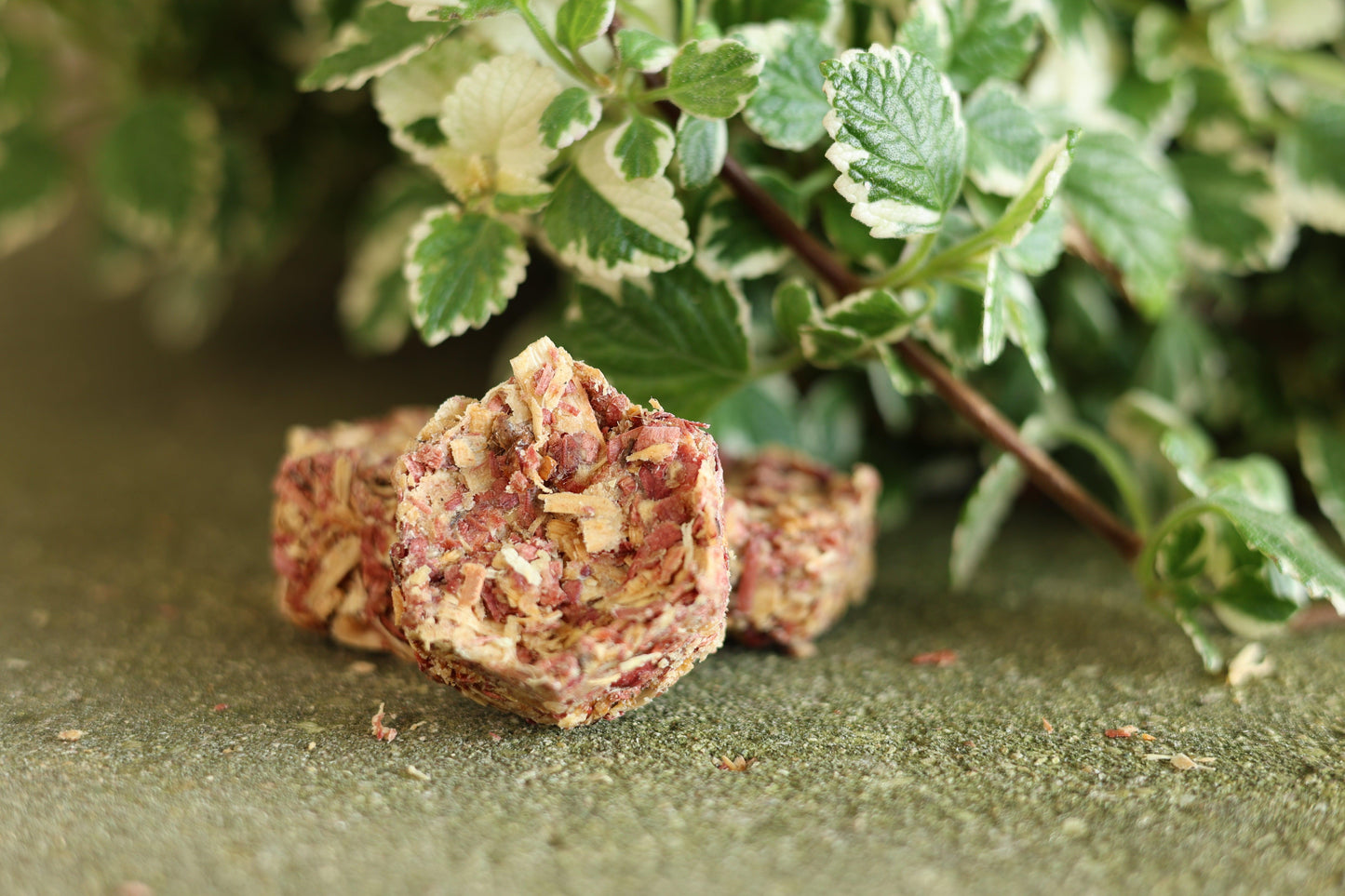 Cedar fire starter made from upcycled red cedar shavings and beeswax, perfect for camping or home use, burning for up to 10 minutes