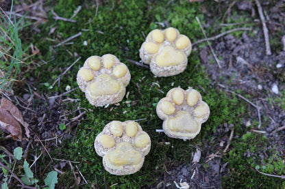 Paw Print Fire Starters – Eco-Friendly, Handmade with Pine, Spent Grain, and Beeswax