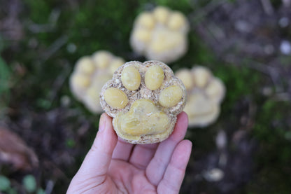 Paw Print Fire Starters – Eco-Friendly, Handmade with Pine, Spent Grain, and Beeswax