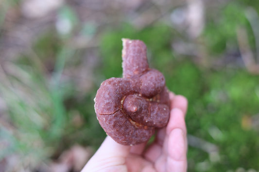 Fake Dog Poop Fire Starter