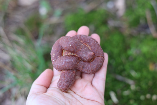 Fake Dog Poop Fire Starter
